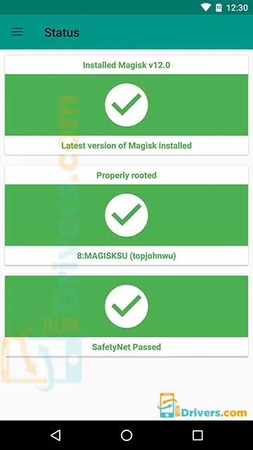 Magisk Status check