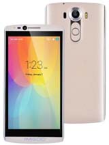 Amigoo Price in USA, Array